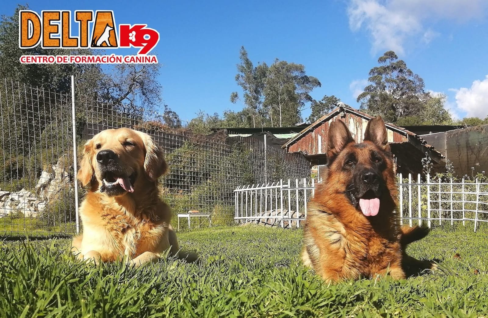 Guarderia Canina Diurna