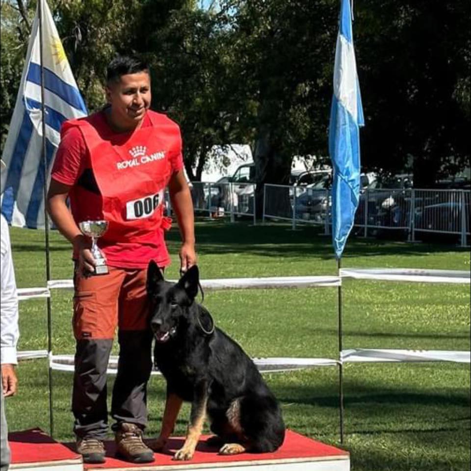 Pastor Aleman negro en podio de competencia internacional
