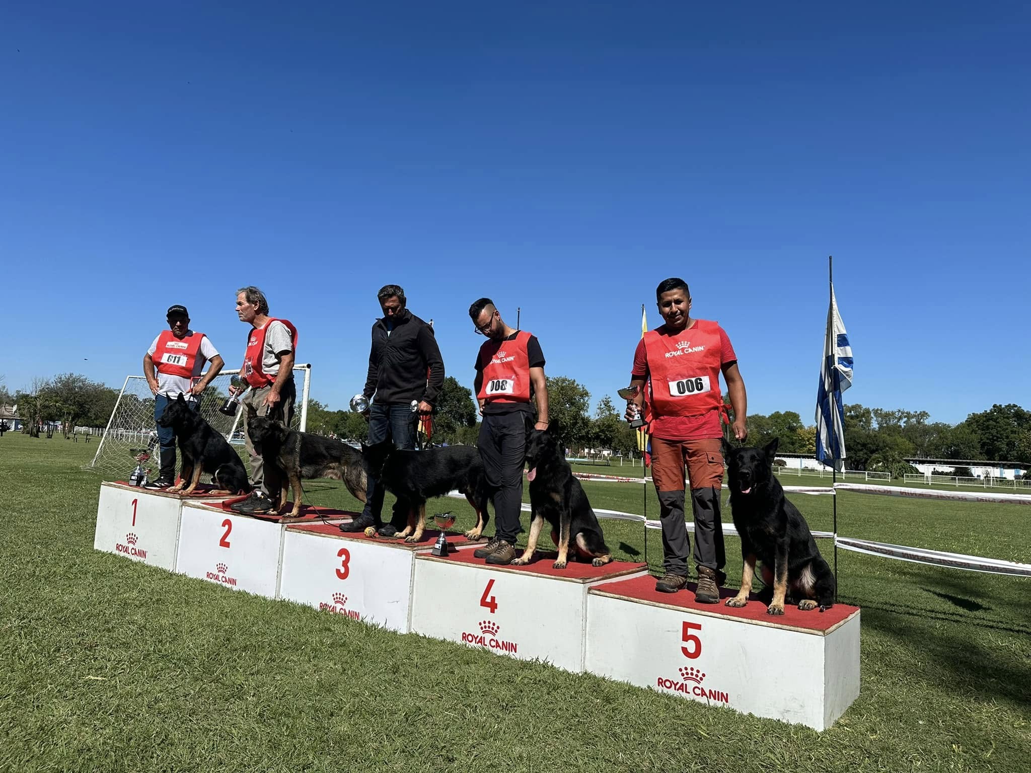 Podio de competencia Royal Canin con perros en posiciones 1 a 5