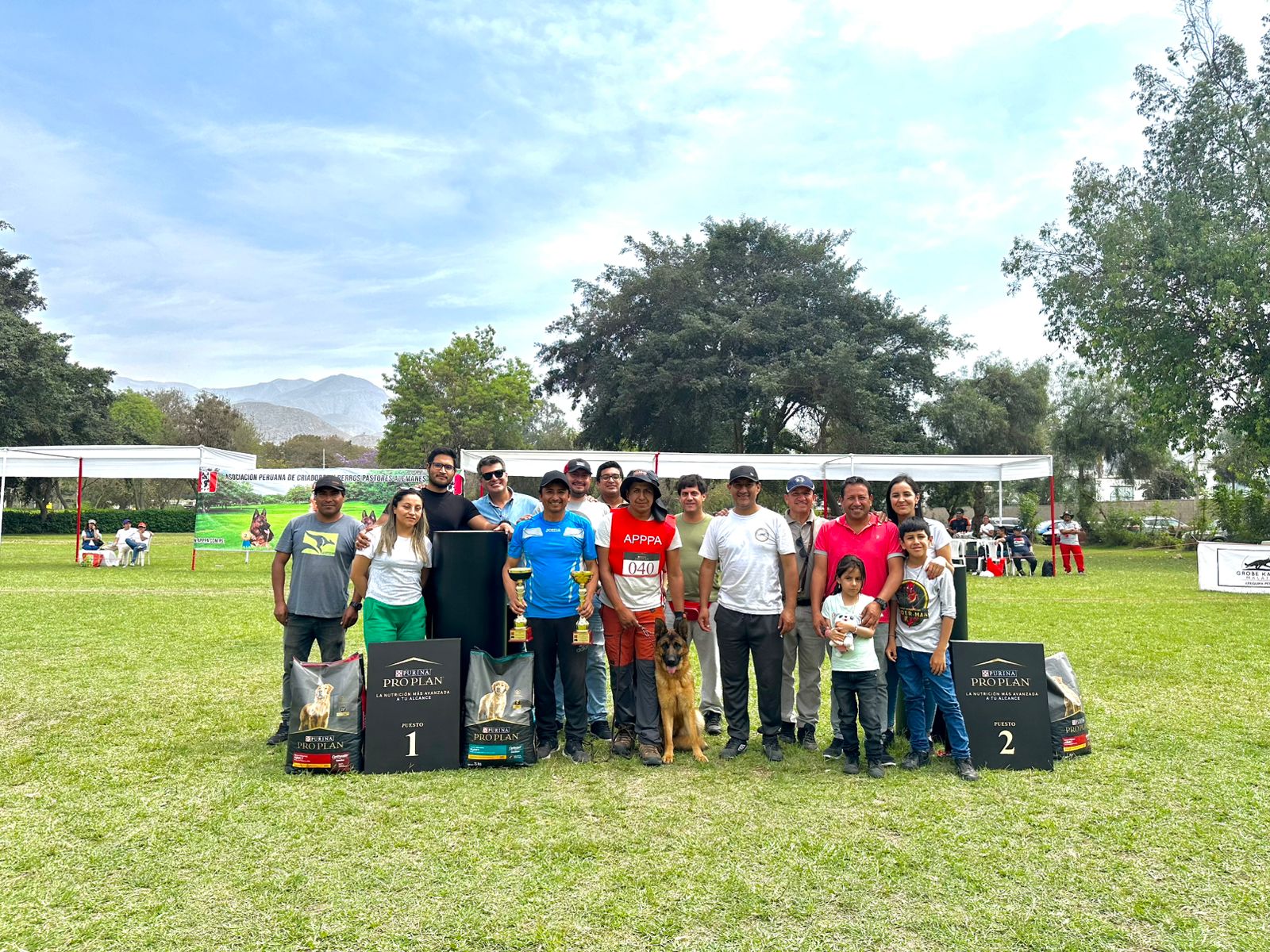 Pastor Aleman negro en ejercicio de proteccion en competencia