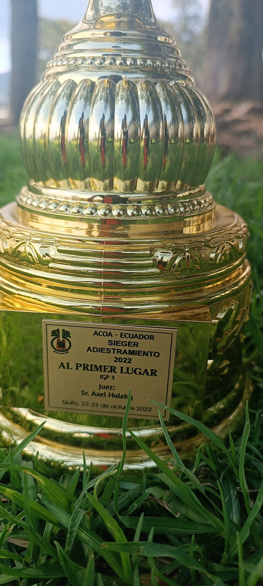 Trofeo ACOA Ecuador Sieger Adiestramiento 2022 - Primer Lugar IGP3