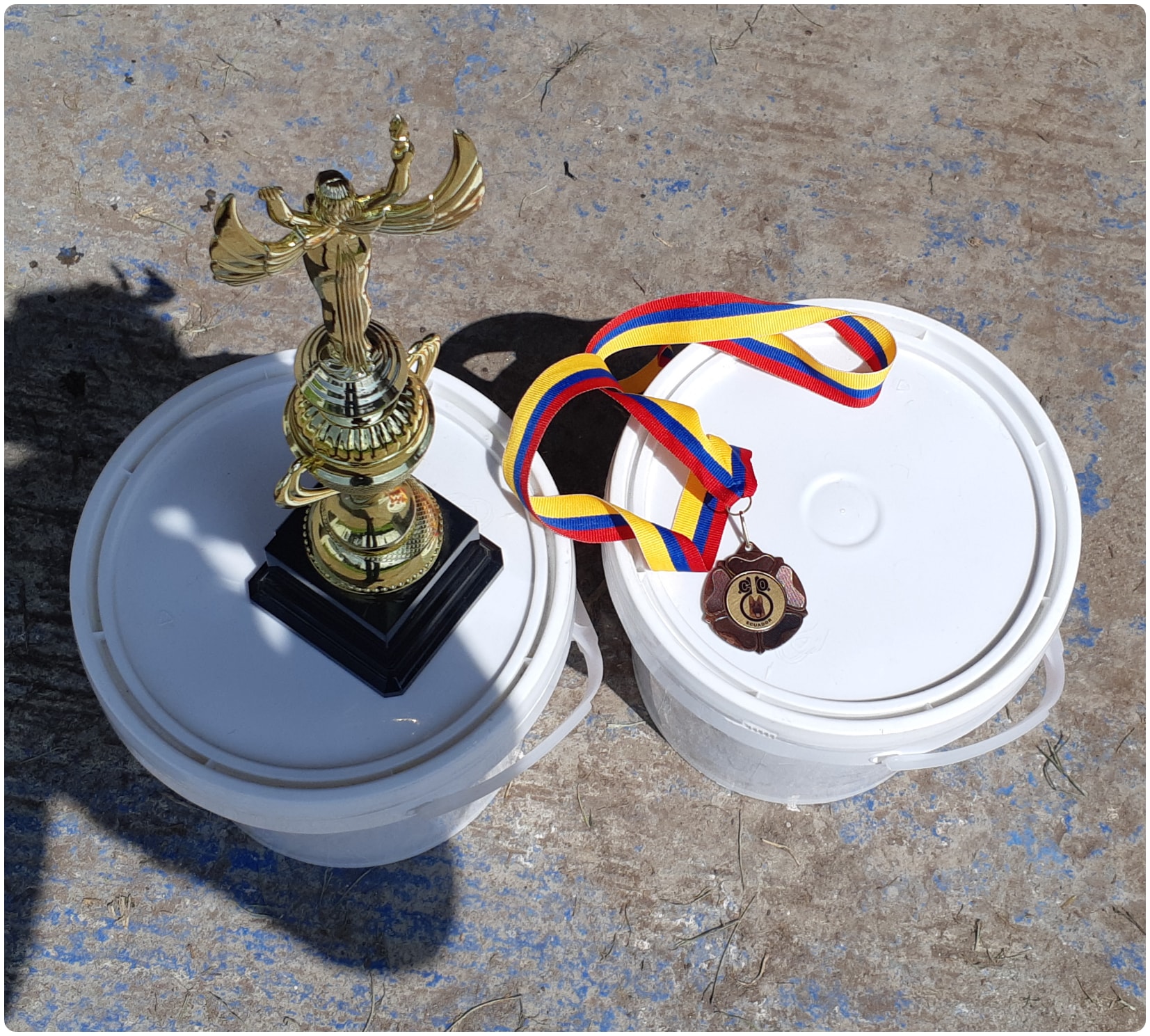 Trofeo dorado y medalla de competencia canina